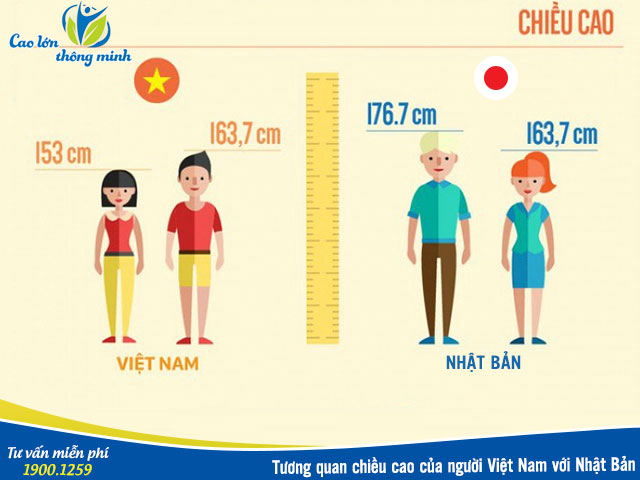 Tương quan chiều cao của Việt Nam với Nhật Bản
