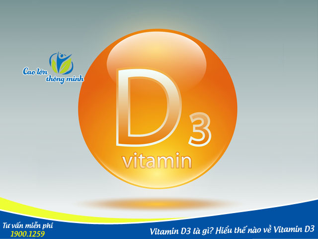 Vitamin D3 là gì? Hiểu thế nào về vitamin D3